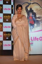 at the launch of Life Ok new series Nagarjun on 24th May 2016